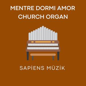 Mentre dormi amor, Aria from L'Olimpiade Church Organ Edition