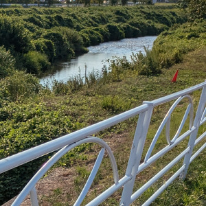 アイデンティティー