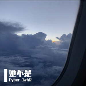 她不是