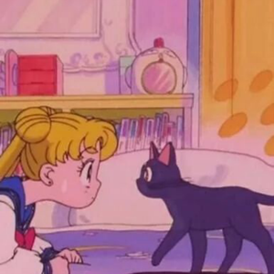 print *input/if shutXdown#