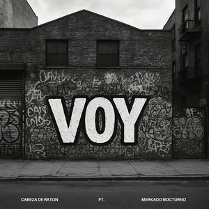Voy