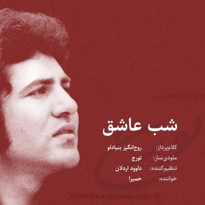 Shab e ashegh (feat. Homeyra)