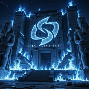 Lose Somebody X Sad Songs (SPECT LIVE EDIT)