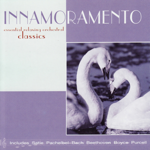 String Quintet in E Major: Minuetto