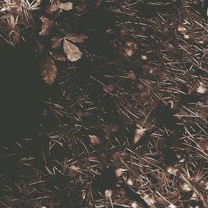 No Âmago do Meu Ser