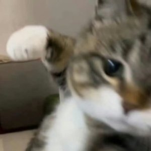 如时针般旋转.wav