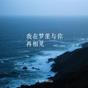 我在梦里与你再相见