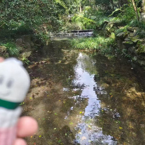 挂件的思念（伴奏）