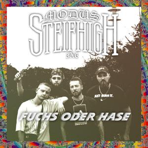 Fuchs oder Hase Tekk (Monni Kauer Remix)