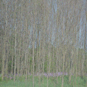 May Cause Excitement