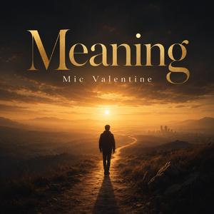 Meaning