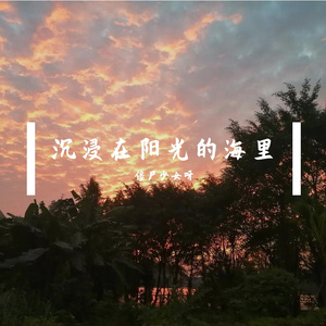 沉浸在 阳光的海里