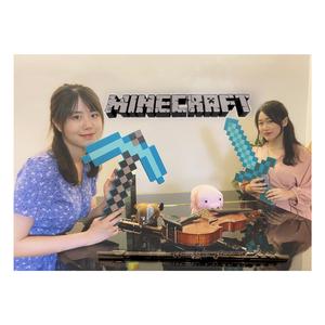 Minecraft 我的世界【长笛/小提琴】