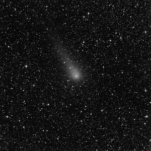 大鱼（翻自 周深）