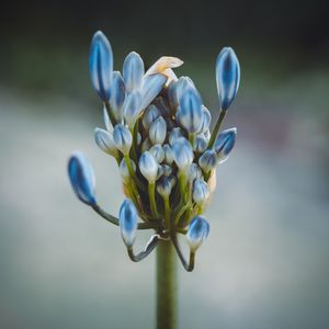 El Viento De Verano Sopla