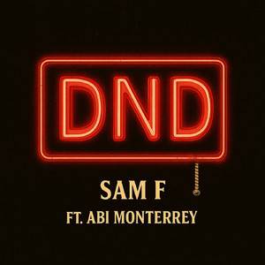 DND (feat. Abi Monterey)