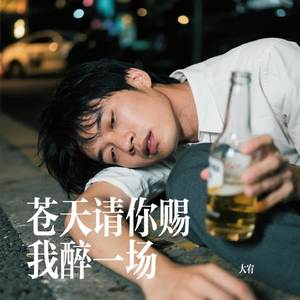 苍天请你赐我醉一场