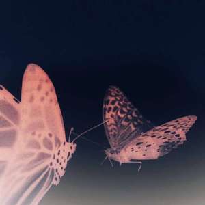 Greta oto（Prod by.Trai5or）