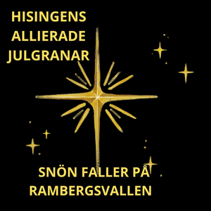Snön faller på Rambergsvallen