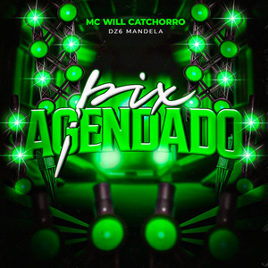 Pix Agendado