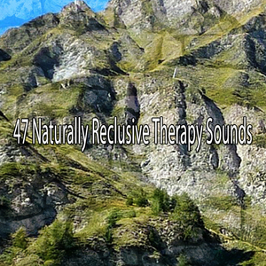 Soaring High With Hope