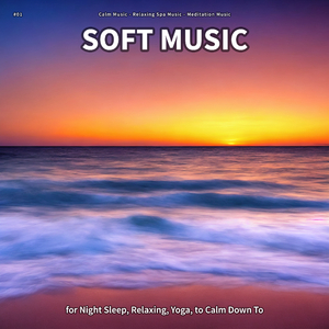 Soft Music, Pt. 42