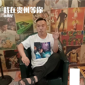 我在贵州等你(汉族版)