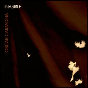 Inasible I - Silueta