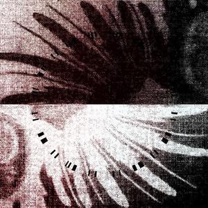 Enneagon