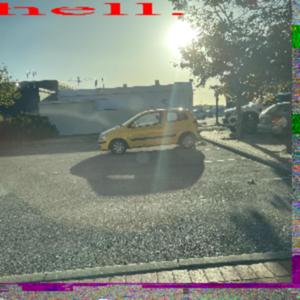 There will be a day that the sun rises, it will gleam unto the lands we once called home. The Earth, once a host of the only beings in the universe, now a husk, will have no one left upon it to bask in the glorious light.