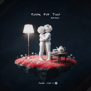 Room For Two (BuDI Remix）