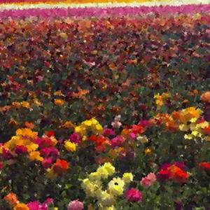 Eight Twenty Two Sixteen