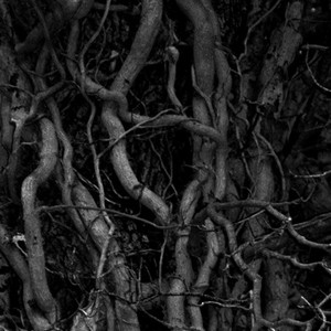 Klarnet (The East Mix)