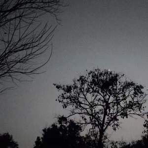 深蓝儿童-不好意思让你失望了（Lil Aone remix）