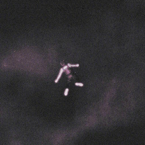 i'm sorry（Chicago Freestyle Remix）