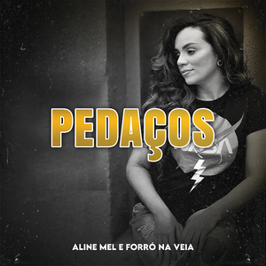 Pedaços