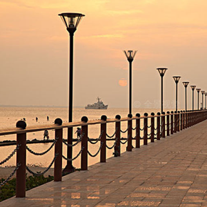 哥不想打光棍儿