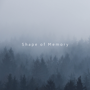 Shape of Memory