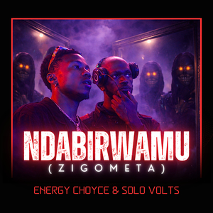 Ndabirwamu (Zigometa)