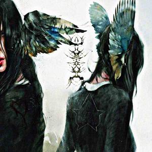 why try when i know i can be easily replaced -