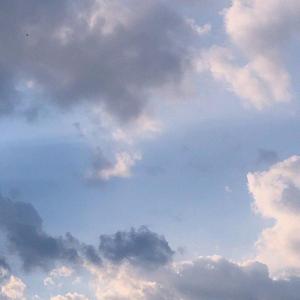 空山新雨后（翻自 锦零）