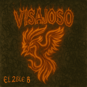 Visajoso