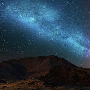 香草园的八音盒