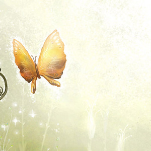 你是我真心地执着