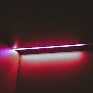 A DELETED VERSE (prod. superiorjack)