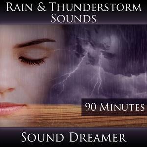 Rain and Thunderstorm Sounds - 90 Minutes
