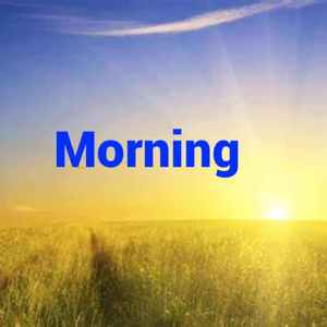 Morning