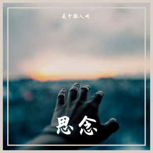 思念 (是个狠人哦 remix)