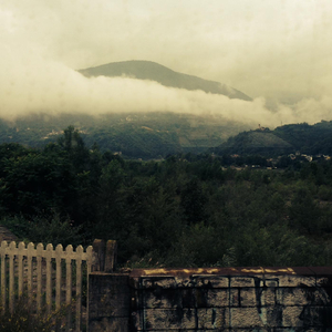 Death Is Only a Wallflower