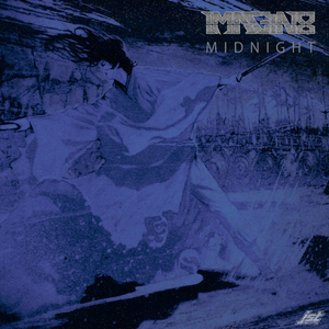 Midnight Shenanigans (Original Mix)